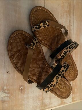 Circus by Sam Edelman Leopard Print Brown and Black Slide Sandals